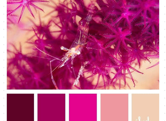 Gingerbread Minnie/ Fuchsia Custom for Alina A.