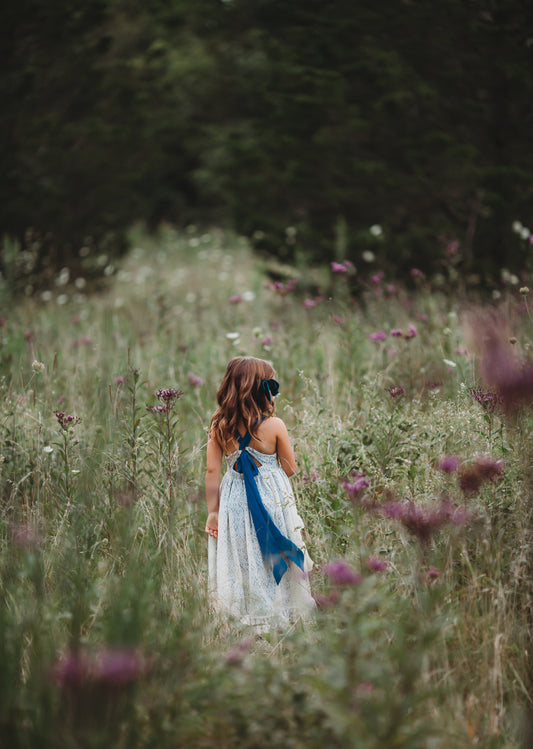 Fields of Blue pre-order