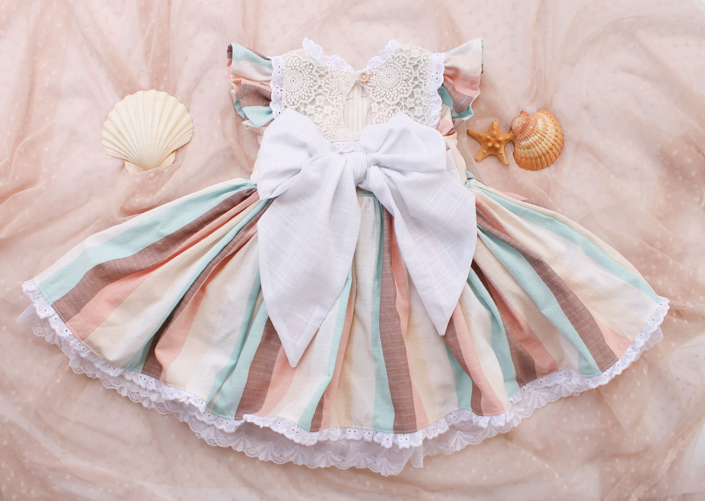 Sand dollar | Size 4